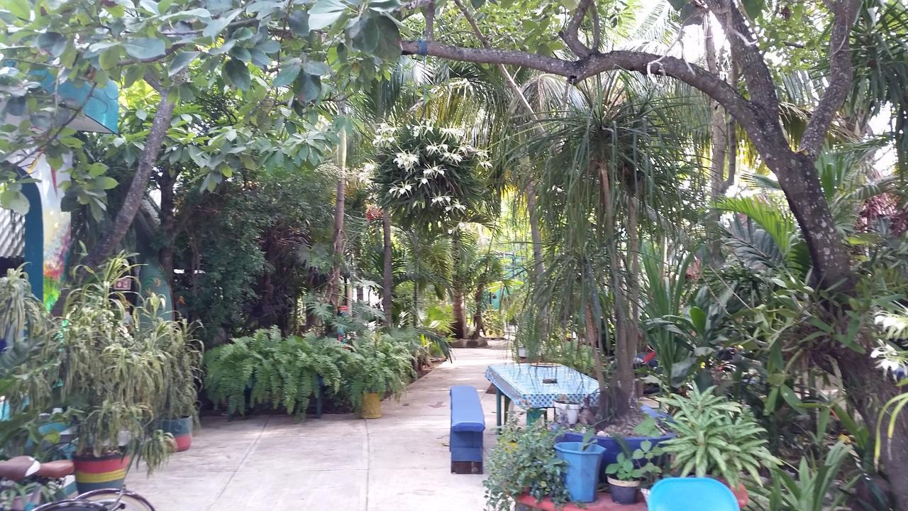 Rancho Tranquilo Vandrarhem Tulum Exteriör bild