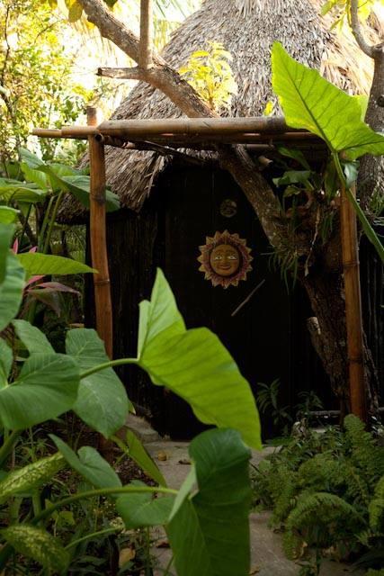 Rancho Tranquilo Vandrarhem Tulum Exteriör bild