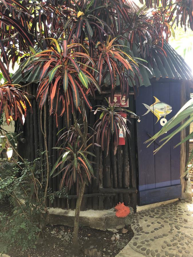 Rancho Tranquilo Vandrarhem Tulum Exteriör bild